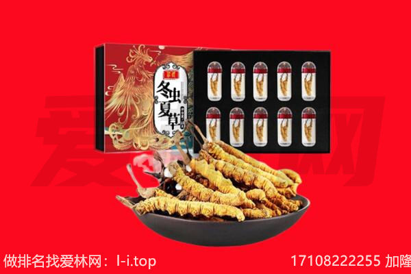 日喀则市回收虫草.jpg